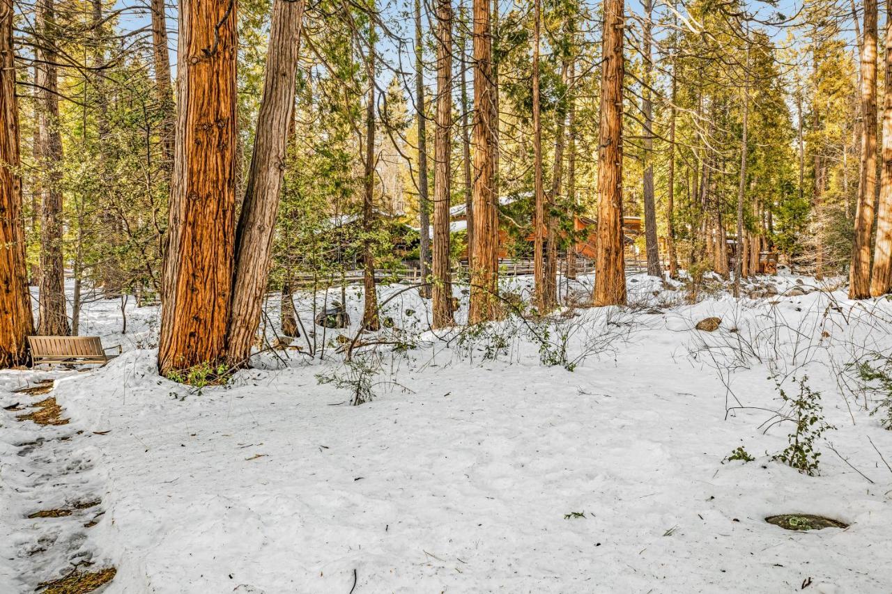 Creekside Cabin Hotel Idyllwild Kültér fotó