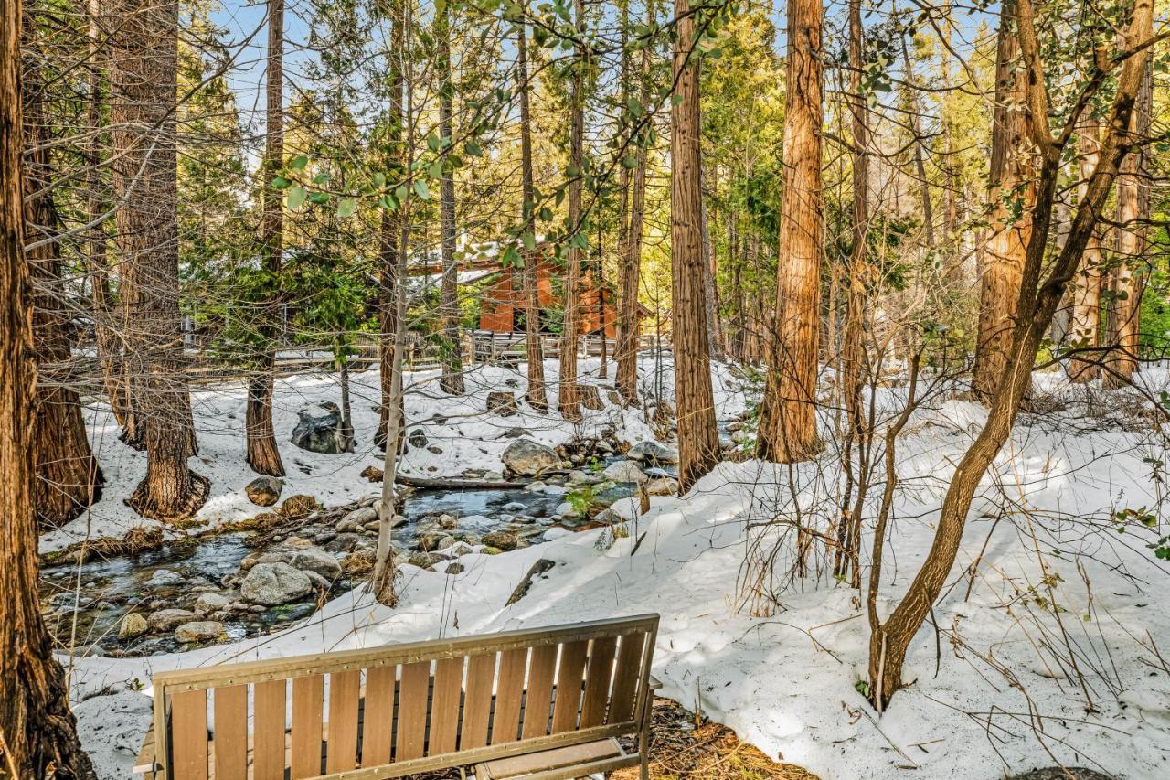 Creekside Cabin Hotel Idyllwild Kültér fotó