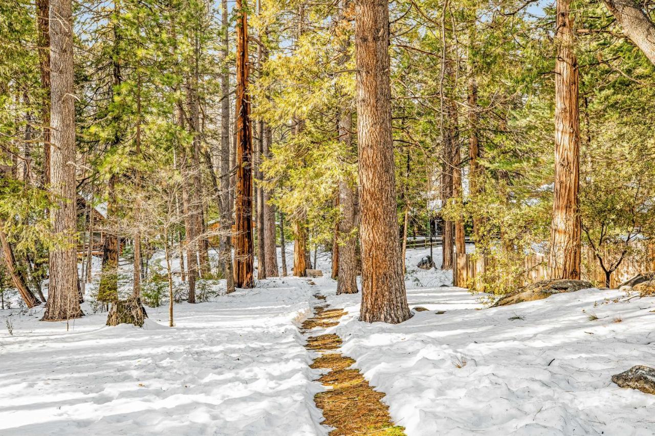 Creekside Cabin Hotel Idyllwild Kültér fotó